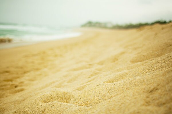 Sable sur la plage closeup