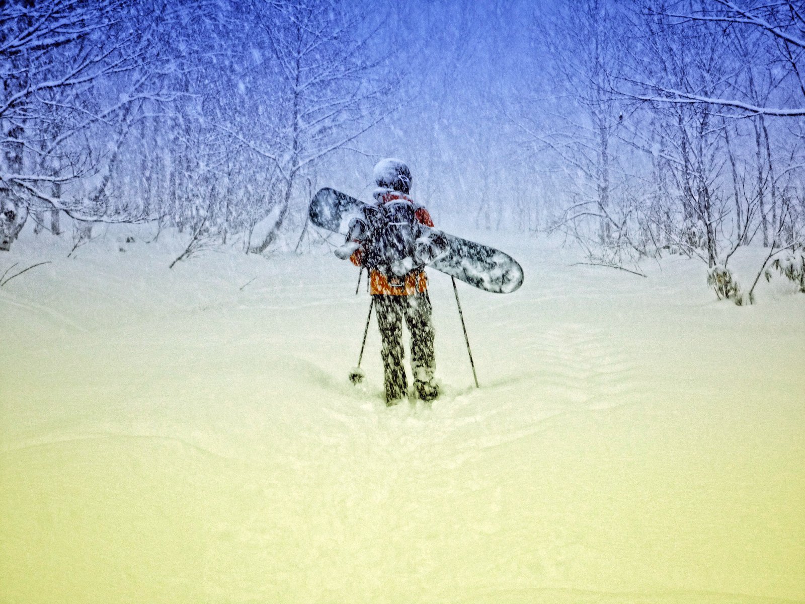 hombre nieve viento árboles