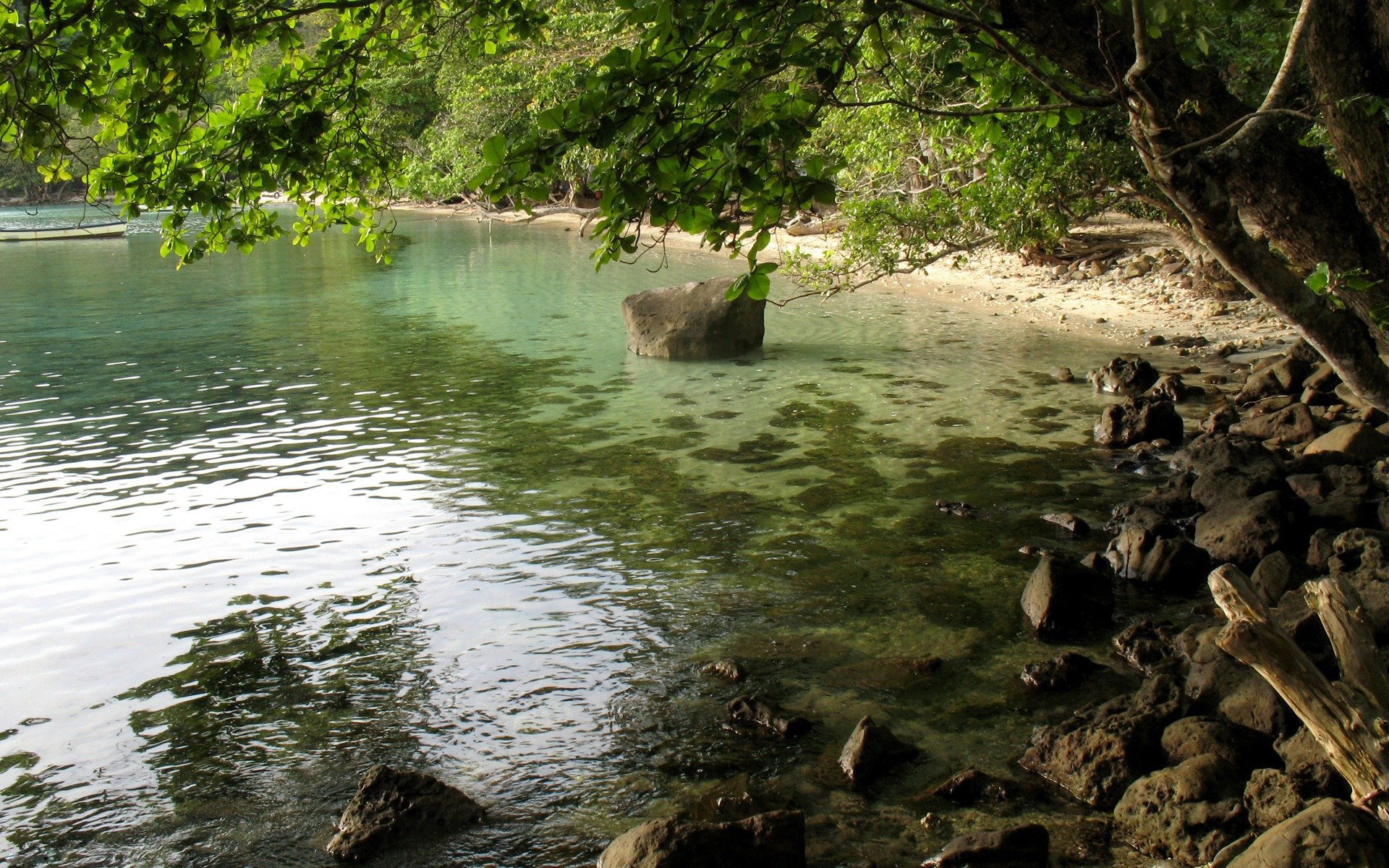 acqua pietre albero fogliame ombra