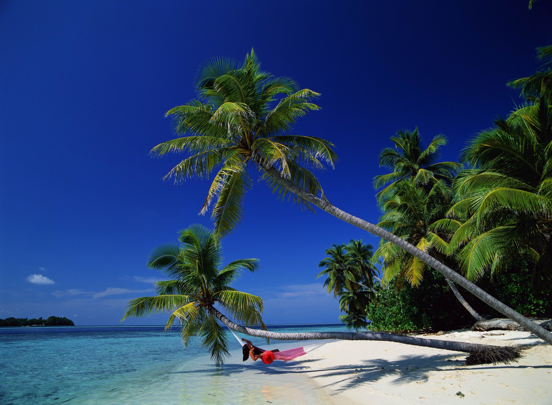 bounty hamaca palmeras bahía mar relax