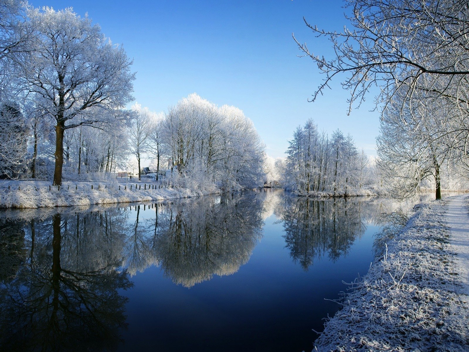 winter river tree frost snow