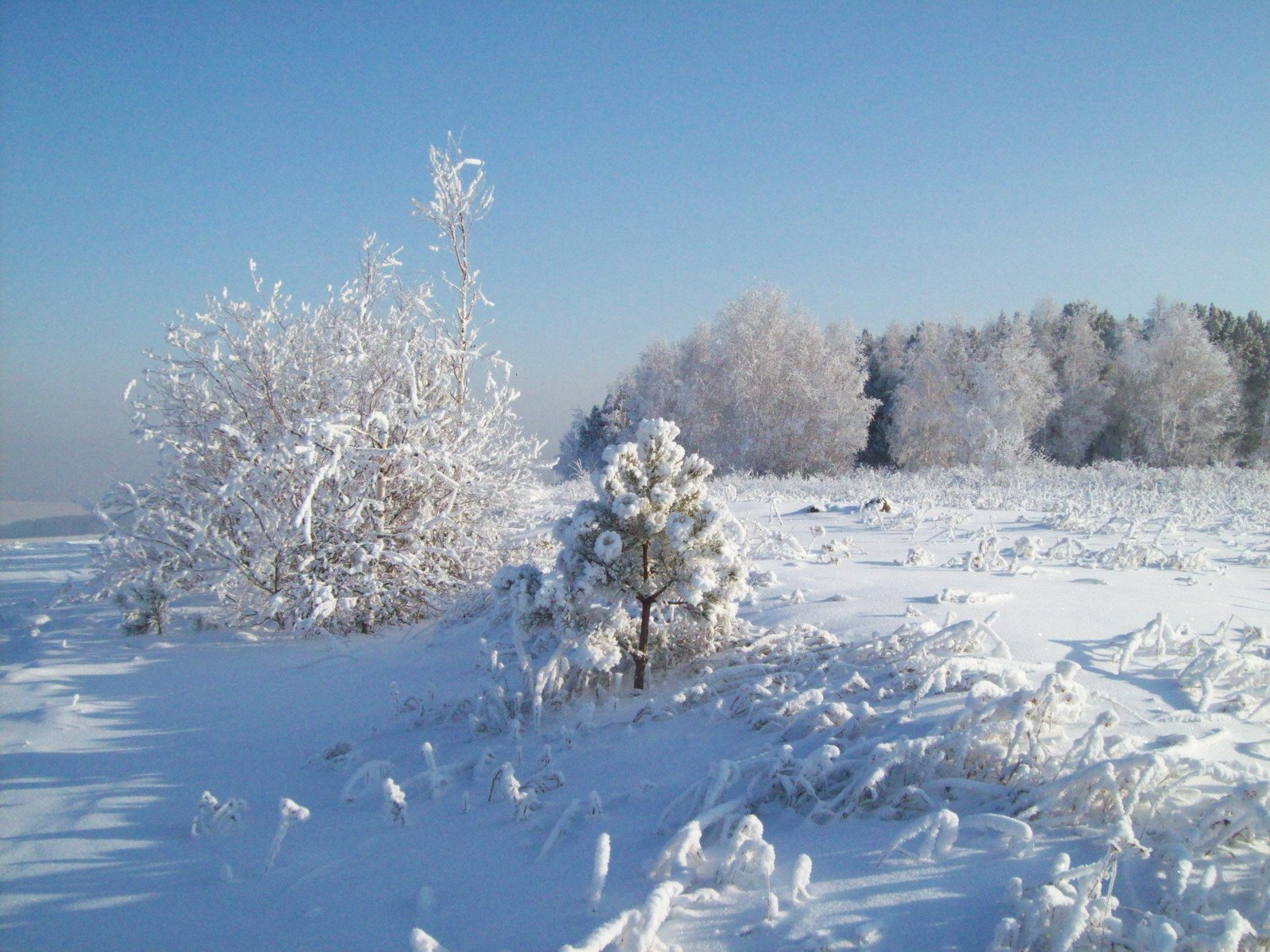 neve inverno legno