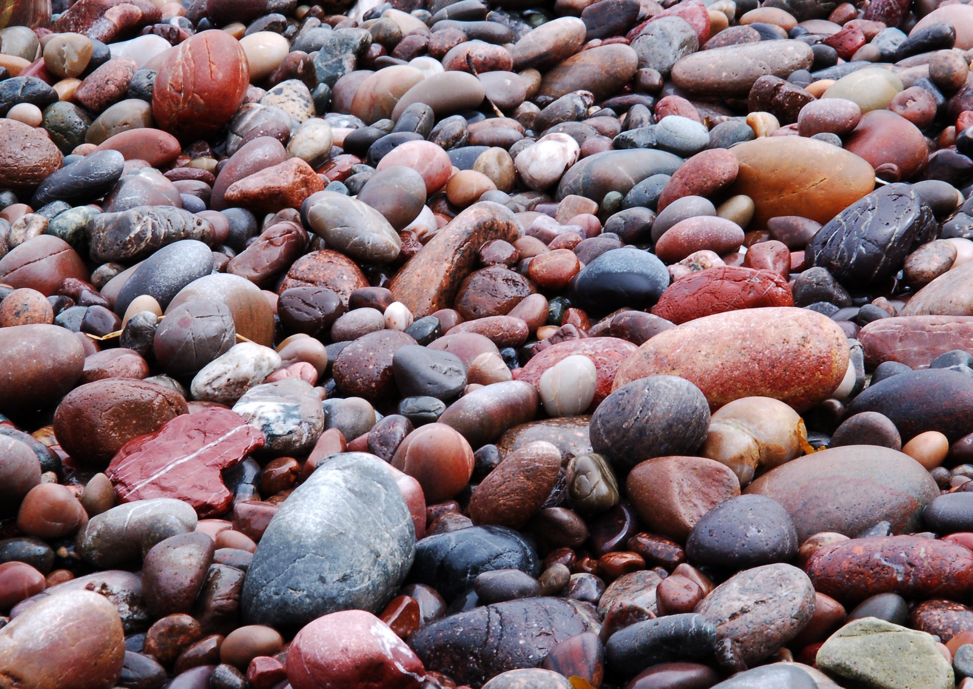 tones beach mock wet