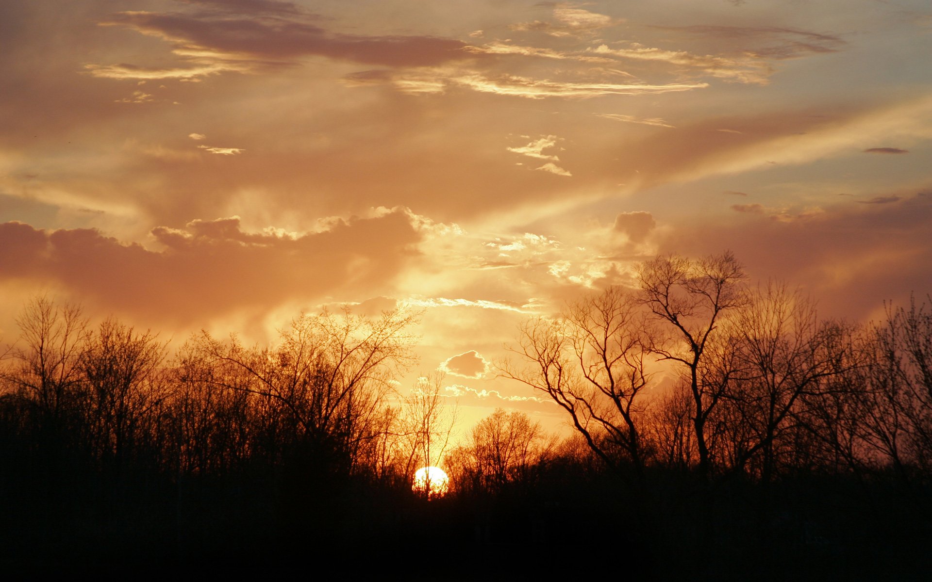 un sunset tree cloud