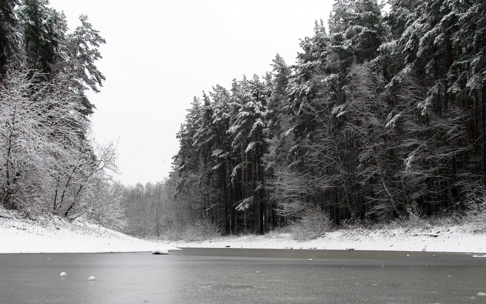 estanque invierno bosque naturaleza nieve pinos