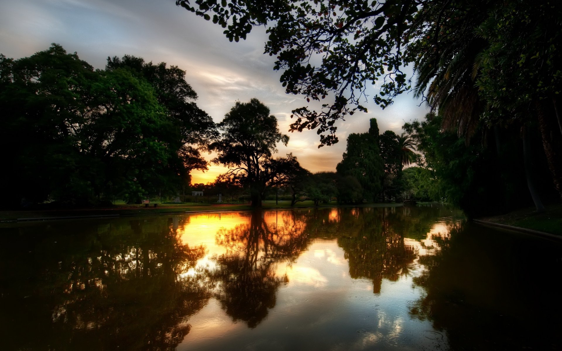 fiume alberi riflessione tramonto