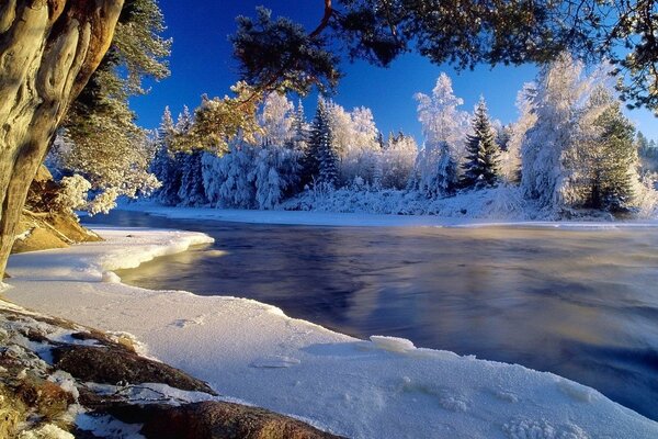 Wintermorgen am Fluss