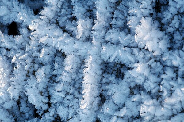 Cristaux de givre et de glace près