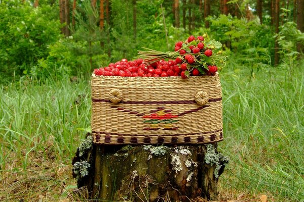 Bouquet de fraises sur chanvre