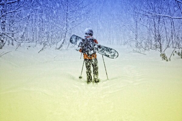 A man in a winter forest on a snowboard