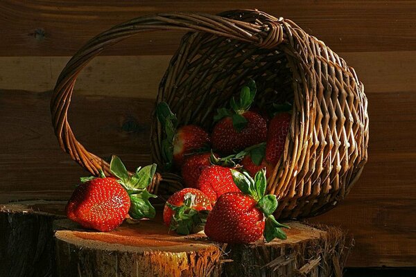 Inverted basket with strawberries on foam