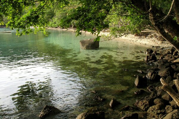 Das Wasser schärft die Steine unter dem grünen Laub