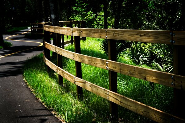 Glatte Asphaltstraße im Wald mit Holzzaun