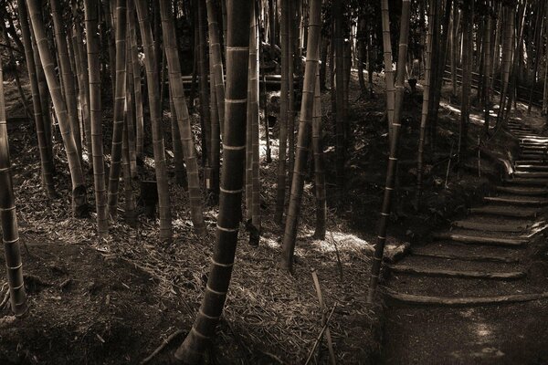 Steps going into the distance sepia