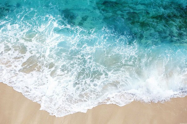 Surf sul mare su una spiaggia di sabbia