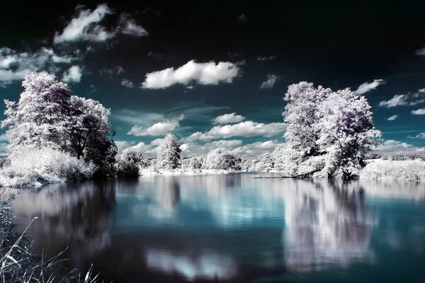 Increíble paisaje con árboles y el reflejo del cielo en el agua