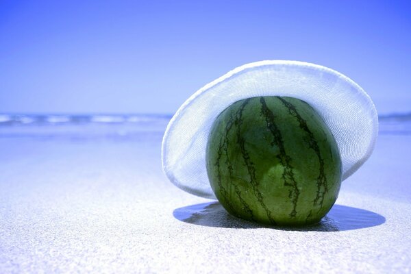 Anguria in un cappello sull oceano