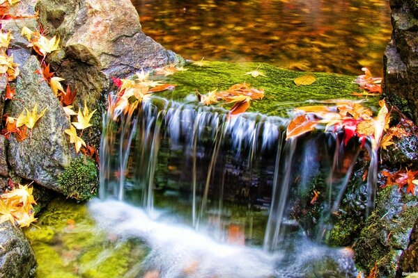 Flujo de agua de otoño del mundo