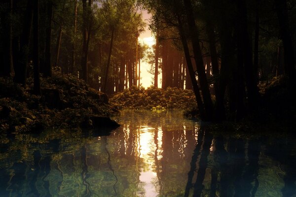 Fluss im Wald vor Sonnenuntergang Hintergrund