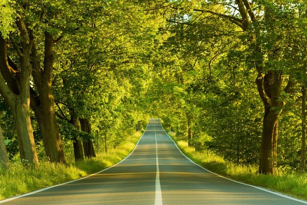 The road leading to the house