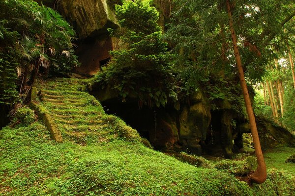 An abandoned temple in the depths of the forest