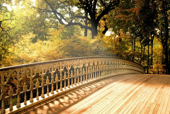 Auf der Brücke im Herbstpark spazieren gehen