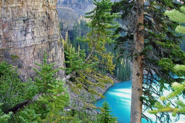 Lago circondato da montagne e alberi