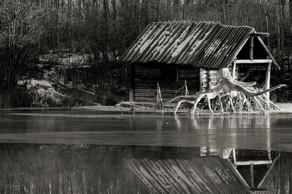 Pintura en blanco y negro. Casa destartalada y madera flotante