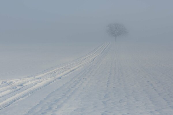 Matin brumeux d hiver dans le village