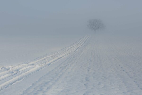 Mattina nebbiosa invernale nel villaggio