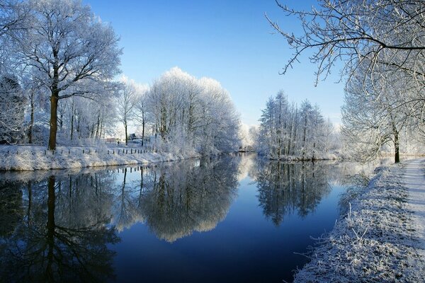 Río en el bosque de invierno