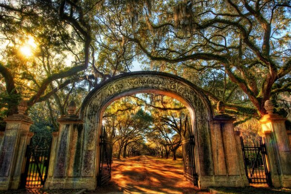 Parkallee wormsloe