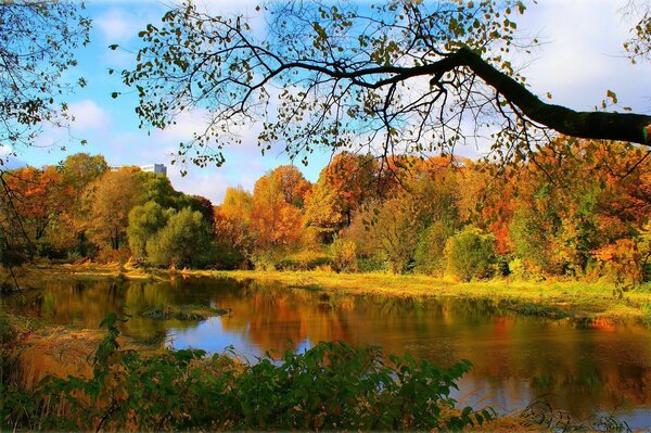 Golden autumn, forest river