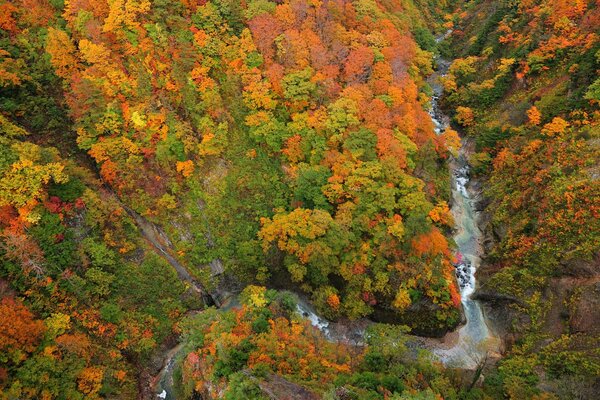 Fiume nella gola vista dall alto