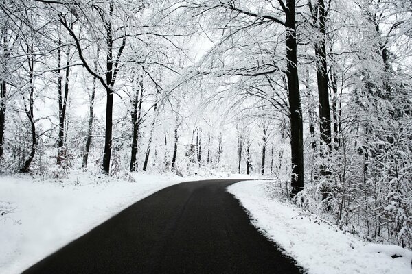 Winterstraße durch den verschneiten Wald