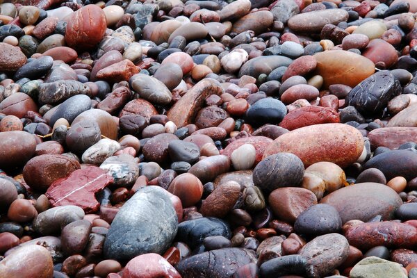 Мокрые камни пляжа
