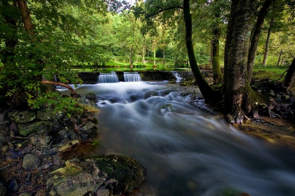 Sommerlandschaft im Wald am Fluss mit Wasserfall