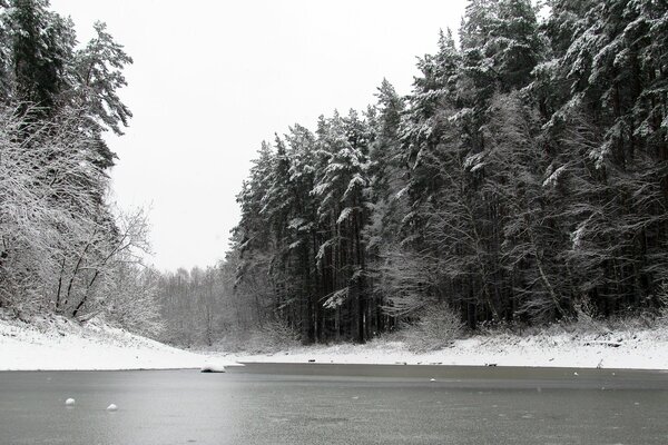 Winter pond near the forest