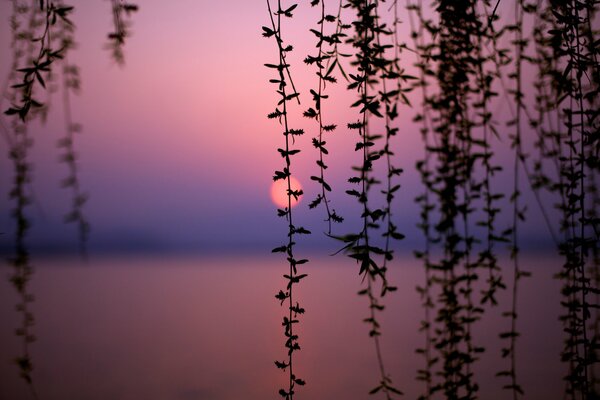 Sunset on China Lake