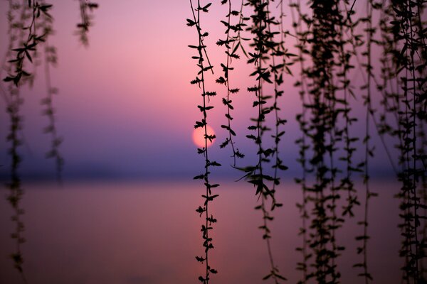 Coucher de soleil sur le lac de Chine
