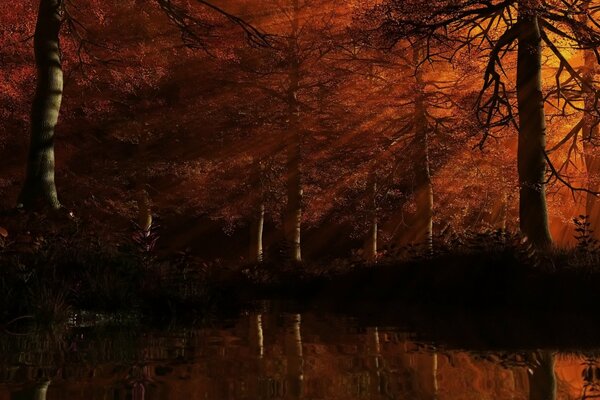 I raggi rossi del sole al tramonto perforano il fogliame della fitta foresta