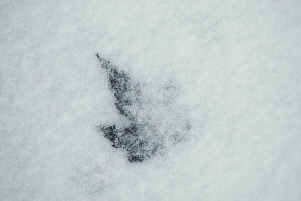 Une chose incompréhensible en hiver, couverte de neige