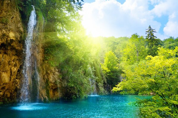 Chute d eau bourdonnante sous la floraison de la nature