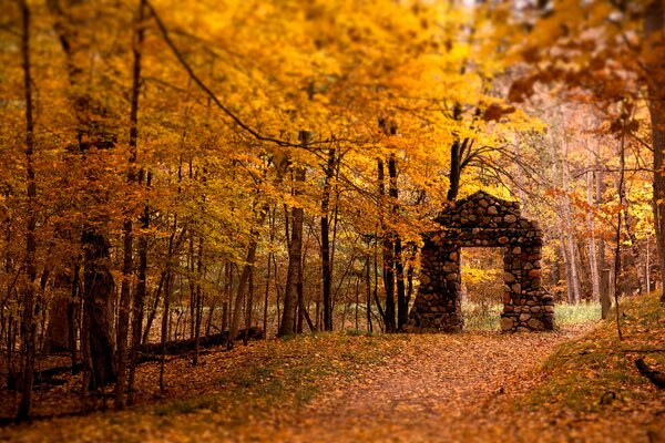 Photo of the arch in the autumn park