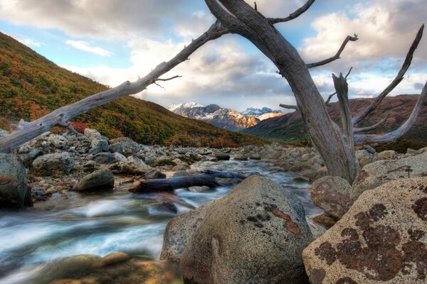 Grandes piedras en el río y una rama