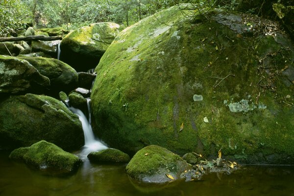 Belles images de cascade sur les pierres