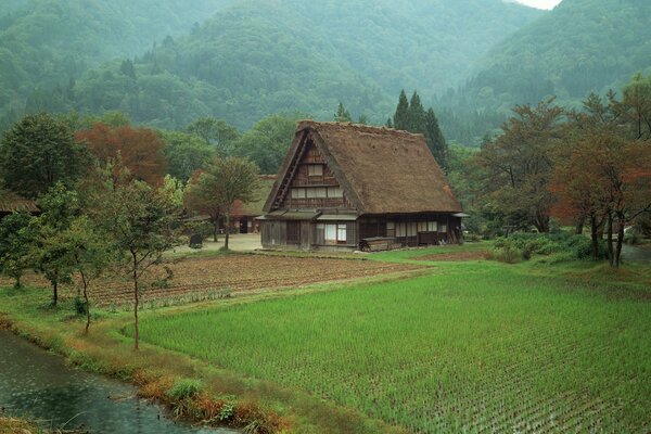 A village in the mountains with rice fields