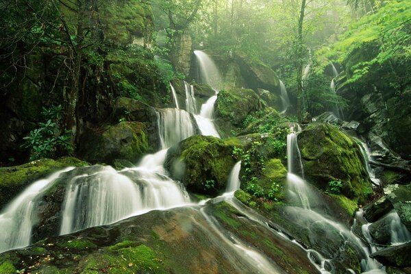 Una cascada inolvidable entre el bosque