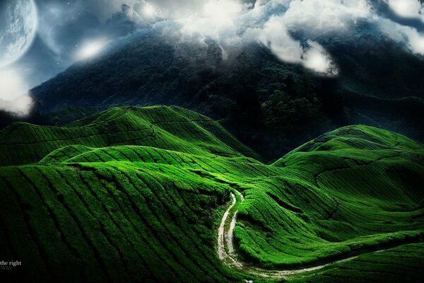 Route dans les montagnes à travers la colline verte