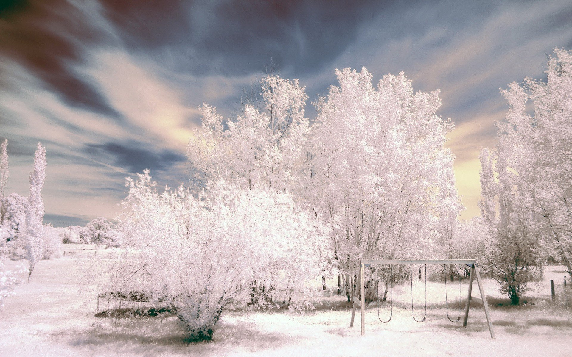 Winter spring. Белоснежная зима. Зимний пейзаж иней. Белое дерево. Белоснежные зимние пейзажи.